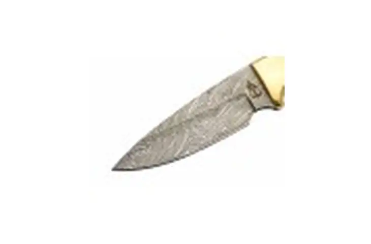 BucknBear Black Mamba Hunter Fixed Knife - view 2
